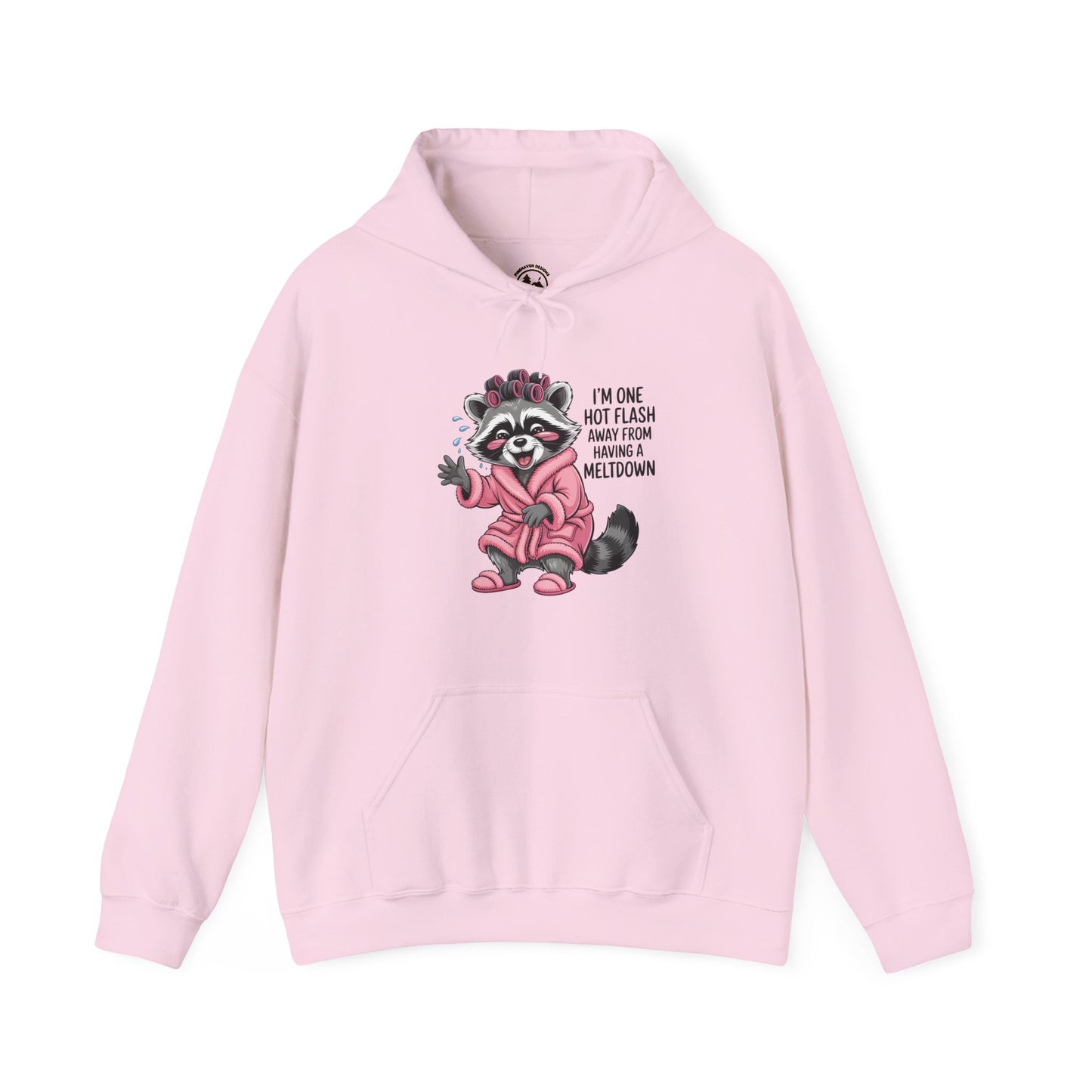 Cute Raccoon I'm One Hot Flash Away From Having A Meltdown Hoodie