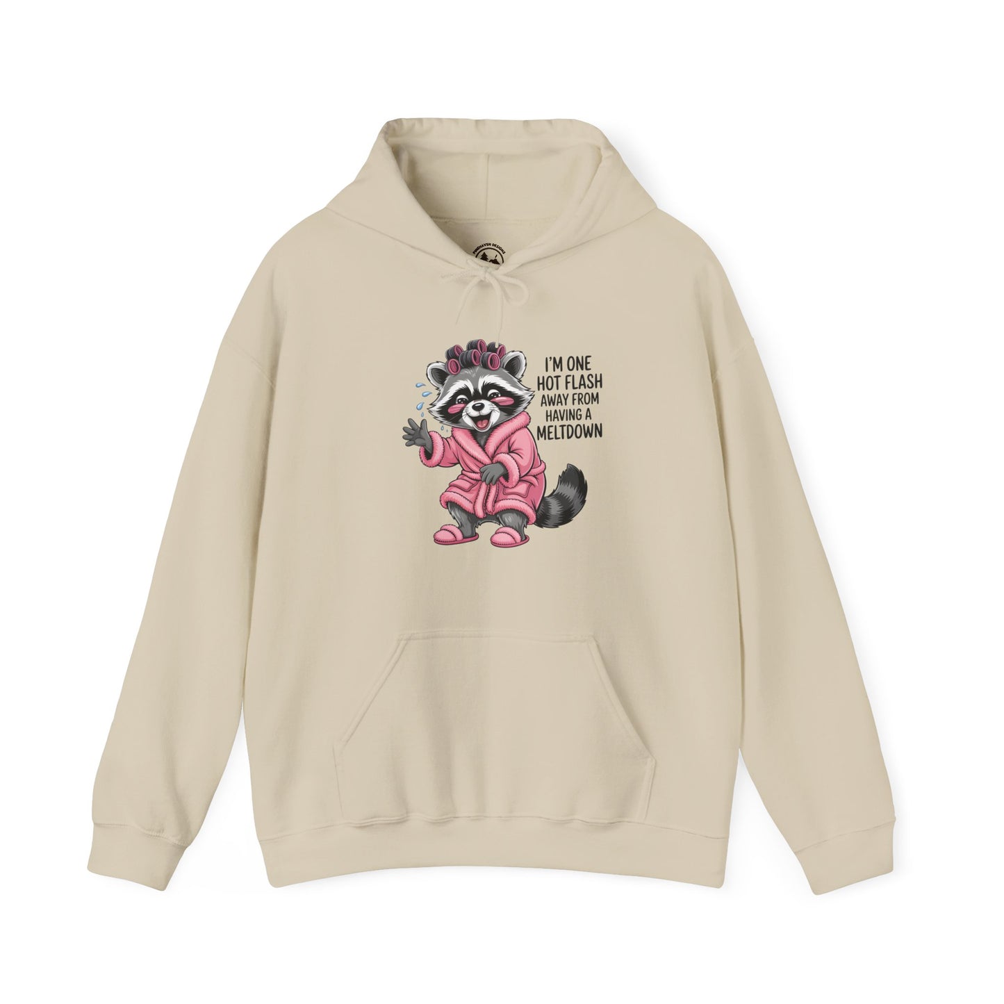 Cute Raccoon I'm One Hot Flash Away From Having A Meltdown Hoodie