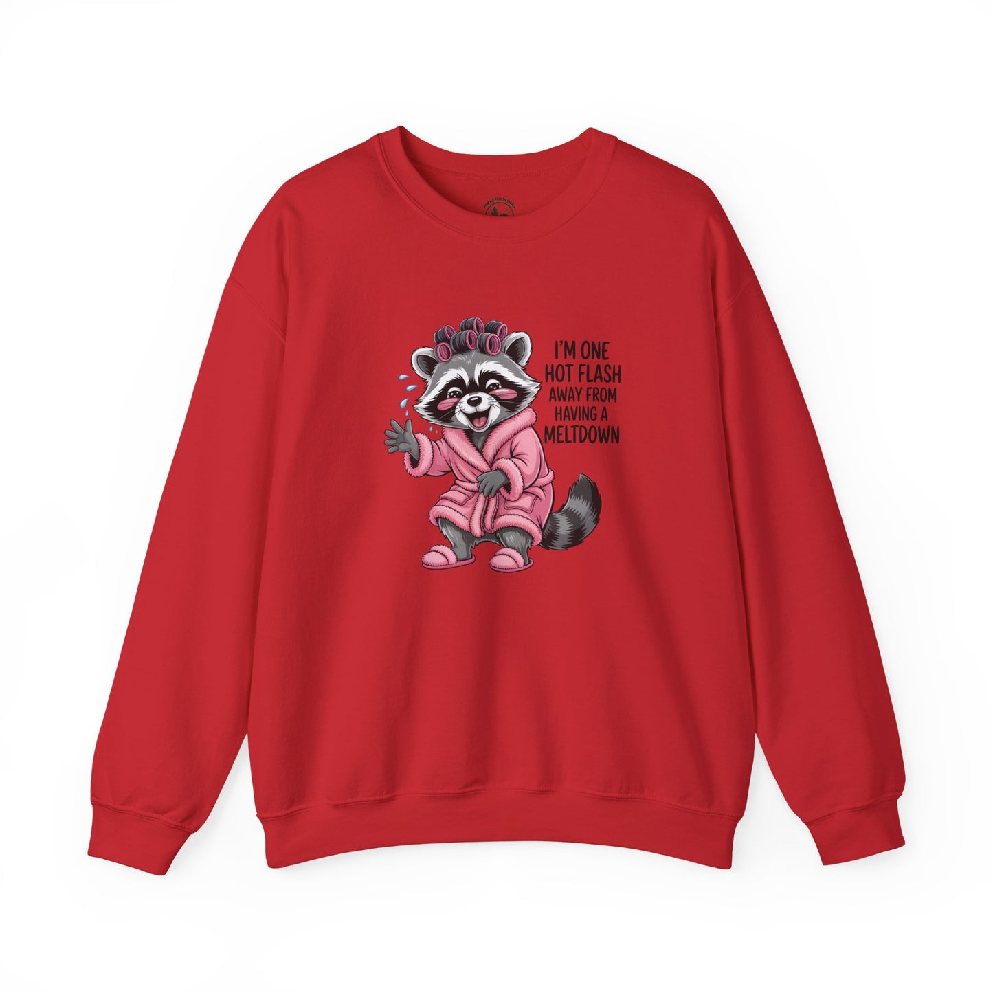 Humorous Raccoon Sweatshirt - Perfect for Ladies' Night, Cozy Days, Birthday Gifts, Hot Flash Humor