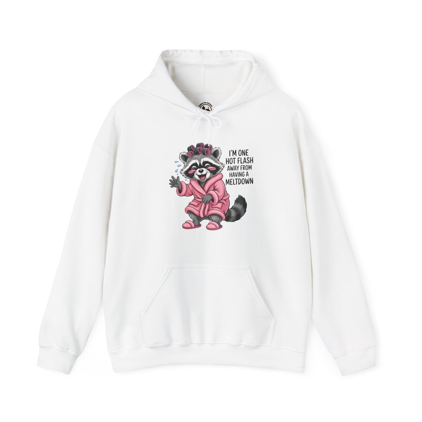 Cute Raccoon I'm One Hot Flash Away From Having A Meltdown Hoodie