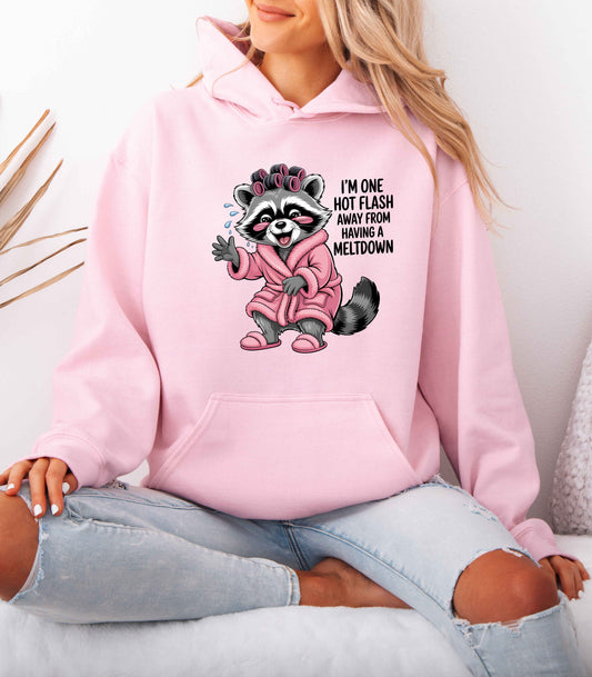Cute Raccoon I'm One Hot Flash Away From Having A Meltdown Hoodie