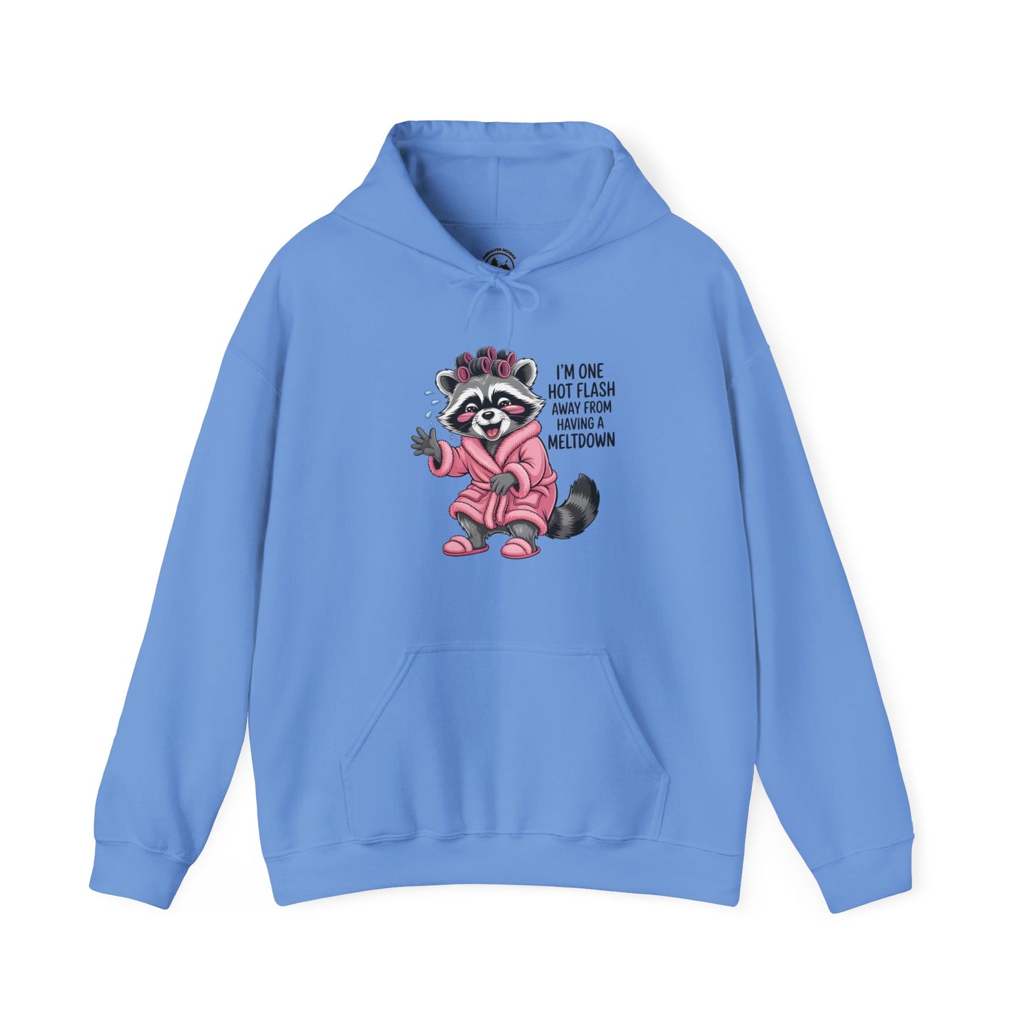 Cute Raccoon I'm One Hot Flash Away From Having A Meltdown Hoodie