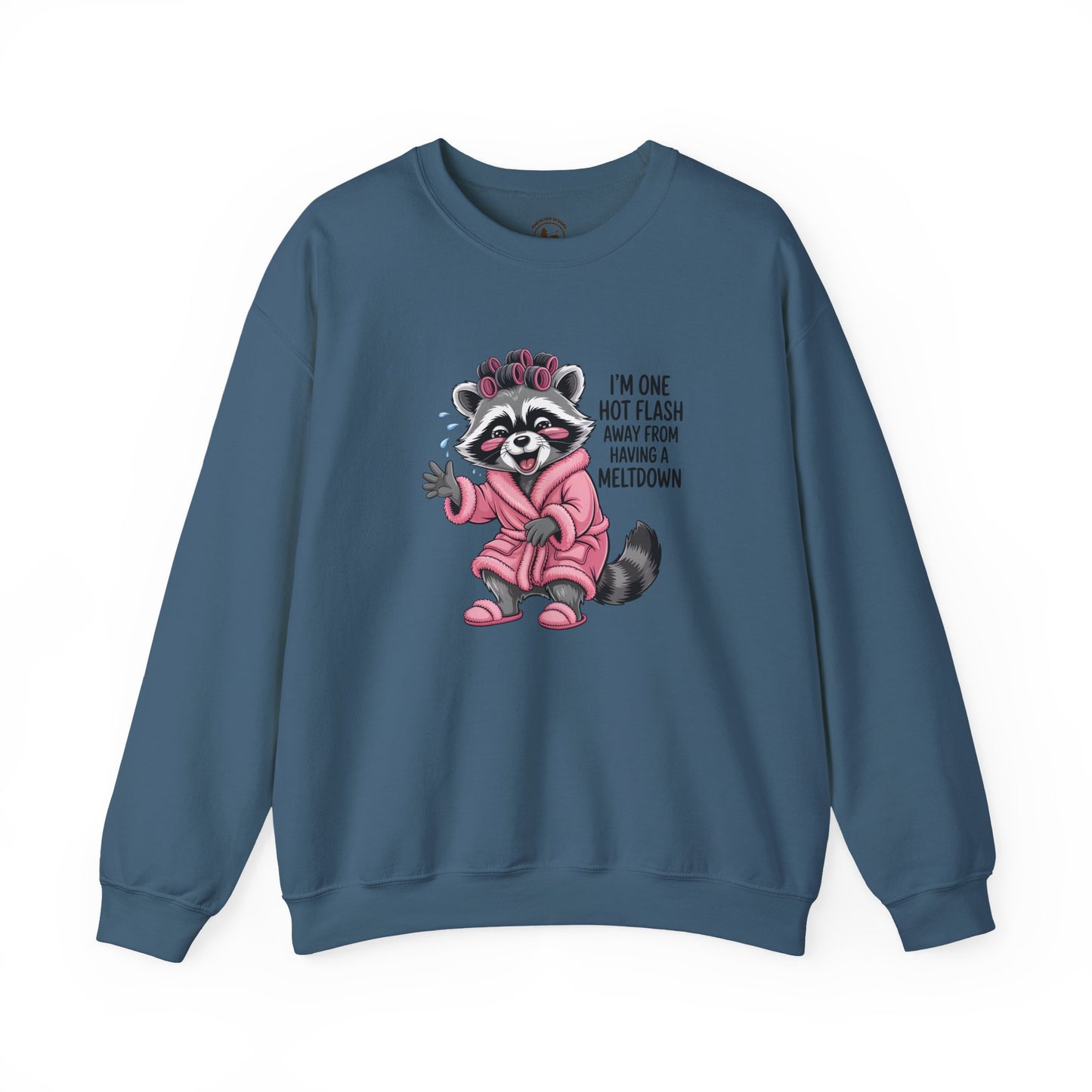 Humorous Raccoon Sweatshirt - Perfect for Ladies' Night, Cozy Days, Birthday Gifts, Hot Flash Humor